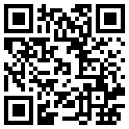 龙枪online