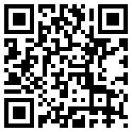 最后的危机游戏安装v2.3