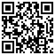 口袋妖怪传说绿宝石内置修改器
