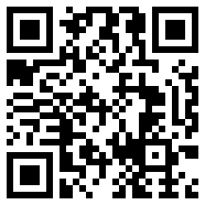 wps2007专业版