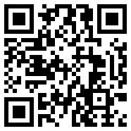 保时捷直装v6.0