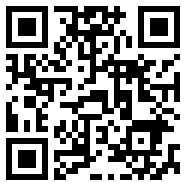 teamviewer绿色版