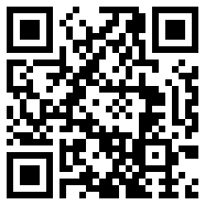 旋风加速npvv4.6.0