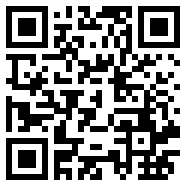 小小盗贼攻略