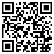 黑洞vp4.0.2