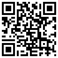 幽灵骑士2