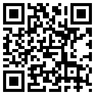 FIFA13汉化版